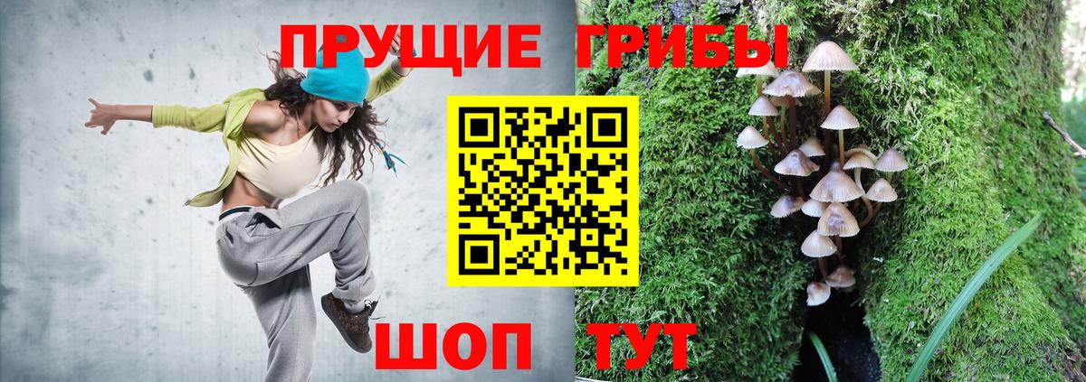 Галлюциногенные грибы ЛСД  купить наркотик  Вход с VPN  Ачхой-Мартан  Псилоцибиновые грибы мухоморы 